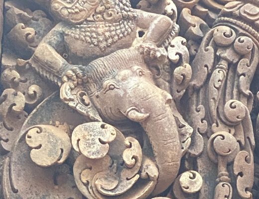 Petit éléphant sympathique